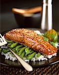 grilled salmon with sesame seeds