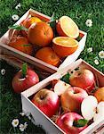 mini crates of oranges and apples