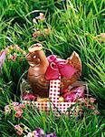 chocolate chicken in grass