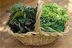 basket of lettuces and peas