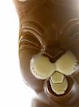 Close-up of a chocolate Easter bunny