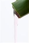 Duschgel, fließt von offenen Aloe Vera Pflanze, close-up geschnitten