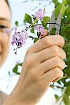 Jeune femme à l'aide de sécateurs à fleurs de la pince de l'arbre en fleurs