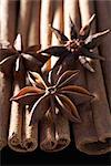 Star Anise and Cinnamon Sticks