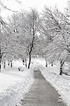 Cleared Pathway in Park, Toronto, Ontario, Canada