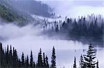 Mist over Lake, Lake Louise, Mount Rainier National Park, Pierce County, Washington State, USA