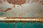Close-up of Rusty Car
