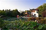 Chinois lanternes et lampes au jardin botanique de Montréal, Montréal, Québec, Canada