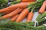 Botte de carottes