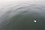 Empty Plastic Bag in Ocean