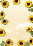 Sonnenblumen-Motiv-Papier