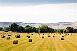 Farmland, Wyoming, USA