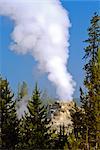 Geyser, Parc National de Yellowstone, Wyoming, USA