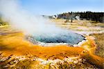 Hot Spring, Yellowstone National Park, Wyoming, USA