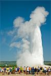 Geysir, Yellowstone-Nationalpark, Wyoming, USA