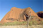 En Australie, Northern Territory, Uluru-kata Tjuta national park, Ayers Rock, détail