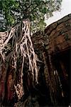 Angkor Wat, Siem Reap, Cambodge