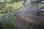 Wooden Bridge, Jericho Park, Vancouver, BC, Canada