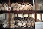 Crânes à the Killing Fields, Phnom Penh, Cambodge
