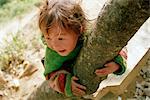 Child Climbing a Tree, sa Pa, Lao Cai, Vietnam