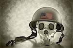 Skull Wearing an American Army Helmet