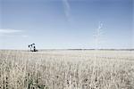 Pump Jack in Prairie Feld, Alberta, Kanada