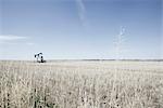 Pomper le cric dans le champ de Prairie, Alberta, Canada