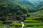 Rice Terraces, Guilin, Guangxi Autonomous Region, China