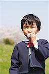 Japanese boy with flower in his mouth