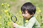 Japanese boy looking at flowers with magnifying glass