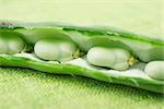 Broad bean split open to reveal beans, close-up