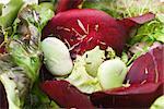 Salad of mixed greens and beets, close-up