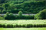 Train traveling through the countryside