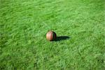 Ball auf Gras