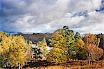 Herbst, Tarn Hows, Furness Fells, Seenplatte, Cumbria, England