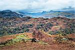 Furness Fells, Lake District, Cumbria, England