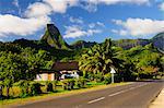 Société du Mt Tearai, Moorea, îles, Polynésie française, Pacifique Sud