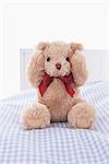 Teddy Bear on Bed