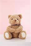 Portrait of Teddy Bear