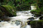 Fluss und Wasserfall im Wald, Brecon-Beacons-Nationalpark, Carmarthenshire, Wales