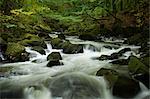 Chute d'eau en forêt, Parc National de Snowdonia, Betws-y-Coed, Conway, pays de Galles