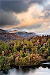 Herbst, Tarn Hows, Seenplatte, Cumbria, England