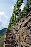 Stone Staircase to Vineyard, Ahrweiler, Germany