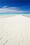 Île et bancs de sable, Honeymoon Island, Aitutaki Lagoon, Aitutaki, îles Cook