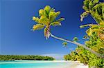 Strand, One Foot Island, Aitutaki Lagune von Aitutaki, Cook-Inseln