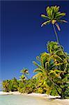 Strand, One Foot Island, Aitutaki Lagune von Aitutaki, Cook-Inseln