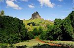 Path to Mount Mauaroa, Moorea, French Polynesia