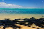 Ombre des palmiers dans la lagune, Moorea, Polynésie française