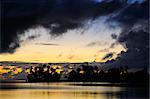 Silhouettes d'arbres au lever du soleil, Raiatea, Polynésie française