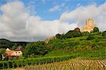 Château de Kaysersberg, Kaysersberg, Haut-Rhin, Elsass, Frankreich